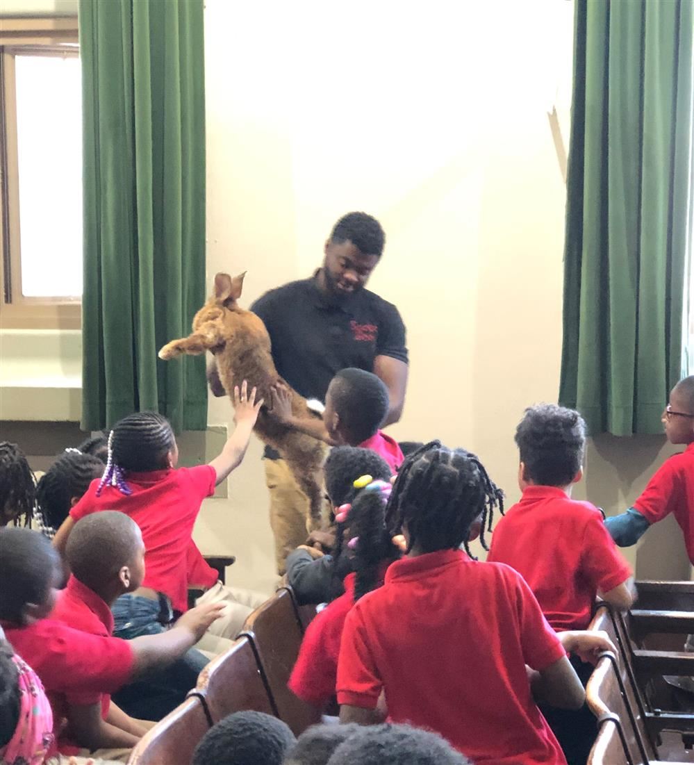 zoo animals with children 